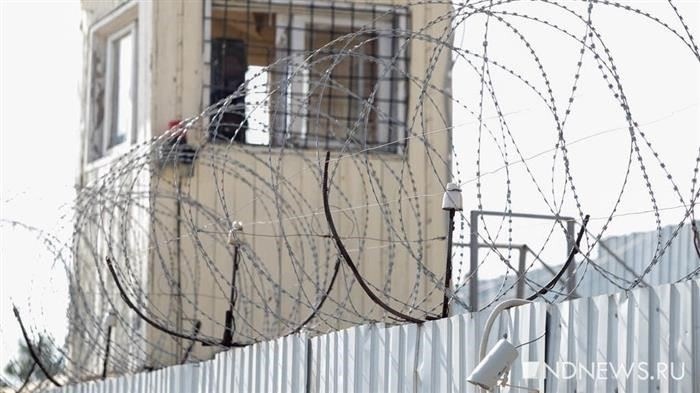 Они ждали? Уголовная амнистия и объявление амнистии в связи со 100-летием образования Союза Советских Социалистических Республик. Последние новости!