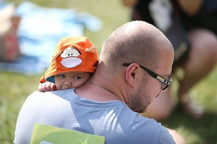 Основания для оспаривания постановлений по алиментам