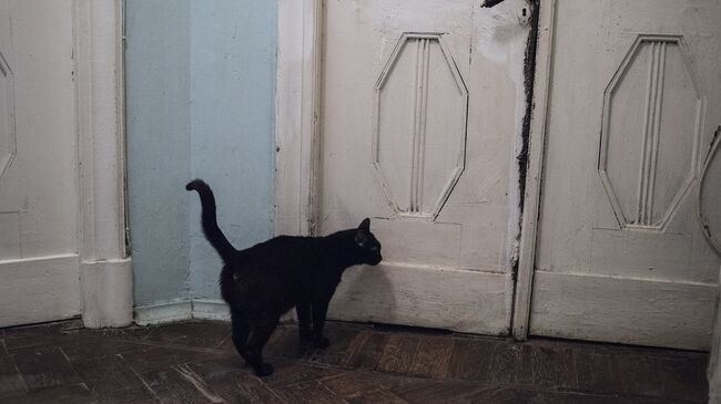 Почему сложно продать долю в квартире и как это влияет на вашу собственность