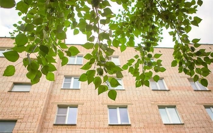 Преимущества новых изменений