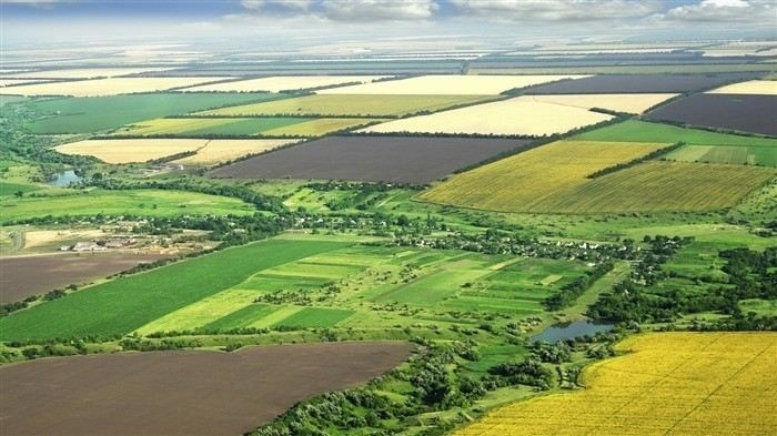 Как поставить на учет земельный участок сельскохозяйственного назначения