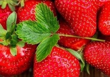 Последние комментарии