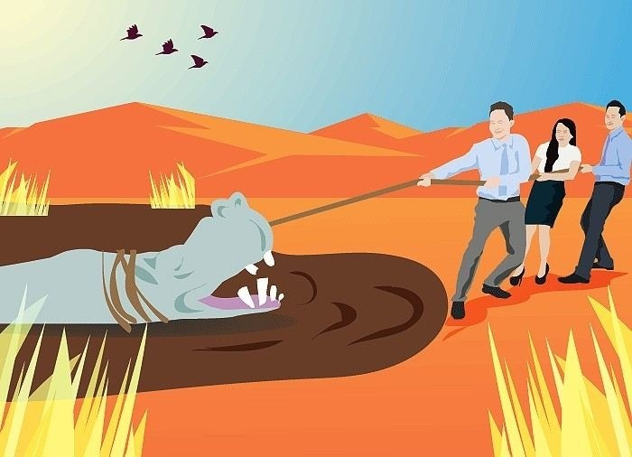 Как обнаружить кадастровую ошибку на земельном участке