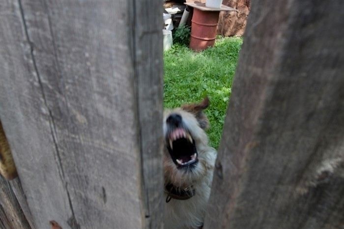 Предмет доказывания при возражении на исковое заявление об установлении сервитута
