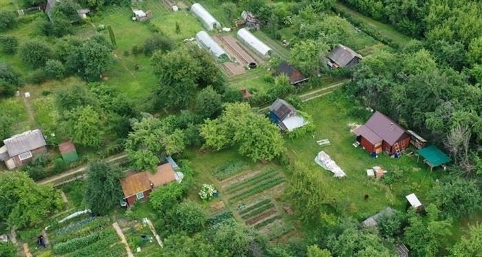 Формирование и ведение полицейских баз данных о гражданах как отдельная мера государственного принуждения