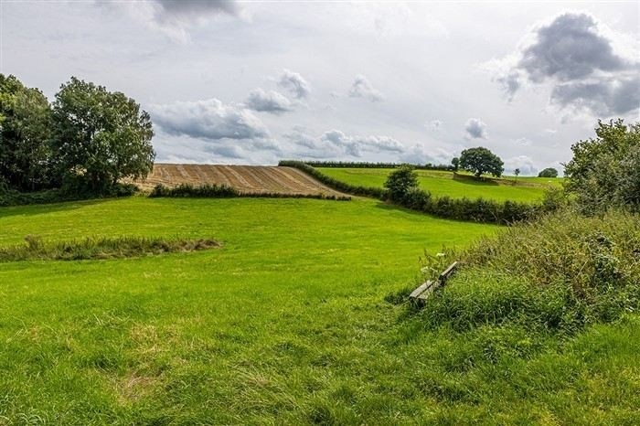 Документы, необходимые для подачи заявления на установление ограниченного права пользования участком