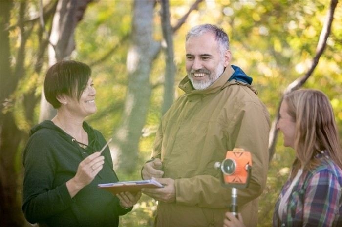 Этапы согласования местоположения границ земельных участков