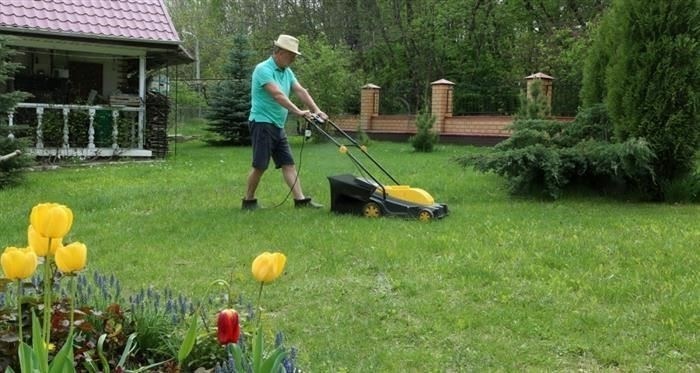 Должны ли вы платить налоги с продажи акций?