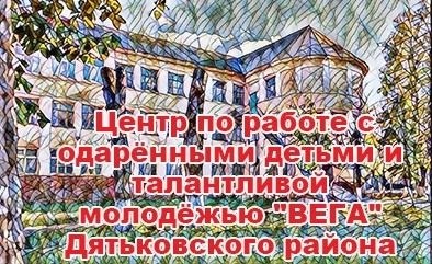 Региональный материнский капитал в Брянской области