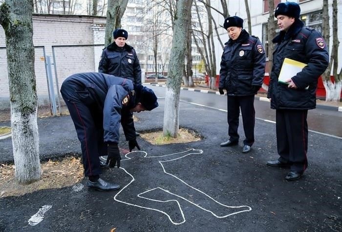 Перспективы карьерного роста и возможные профессии