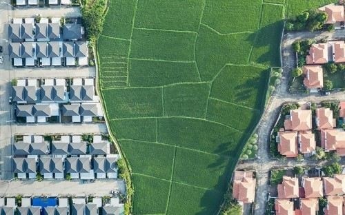 Первым делом - зафиксировать факт нарушения прав соседкой