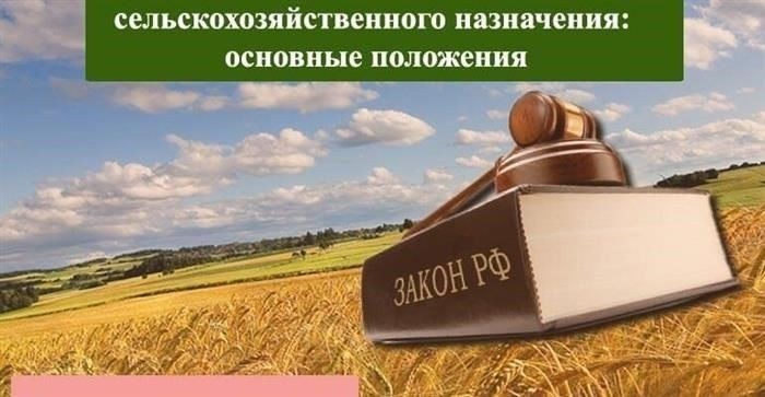 Что такое сельскохозяйственные земельные участки