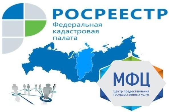 Что можно сделать с землей после кадастрового обследования?