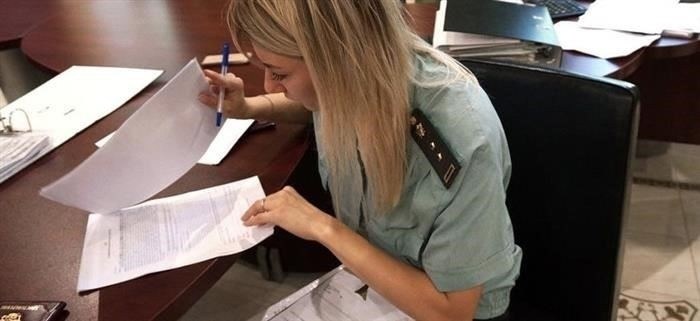 Проверка через портал