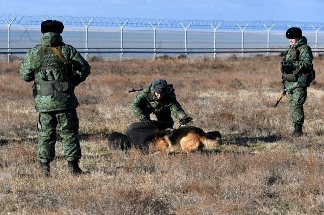 42 тысячи полицейских за 3 года