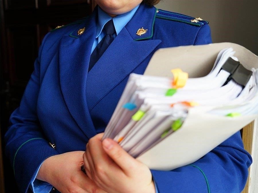 Роль прокуратуры в контроле за соблюдением сроков