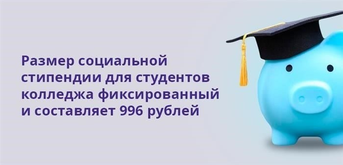 Виды стипендий в колледже в 2025 году
